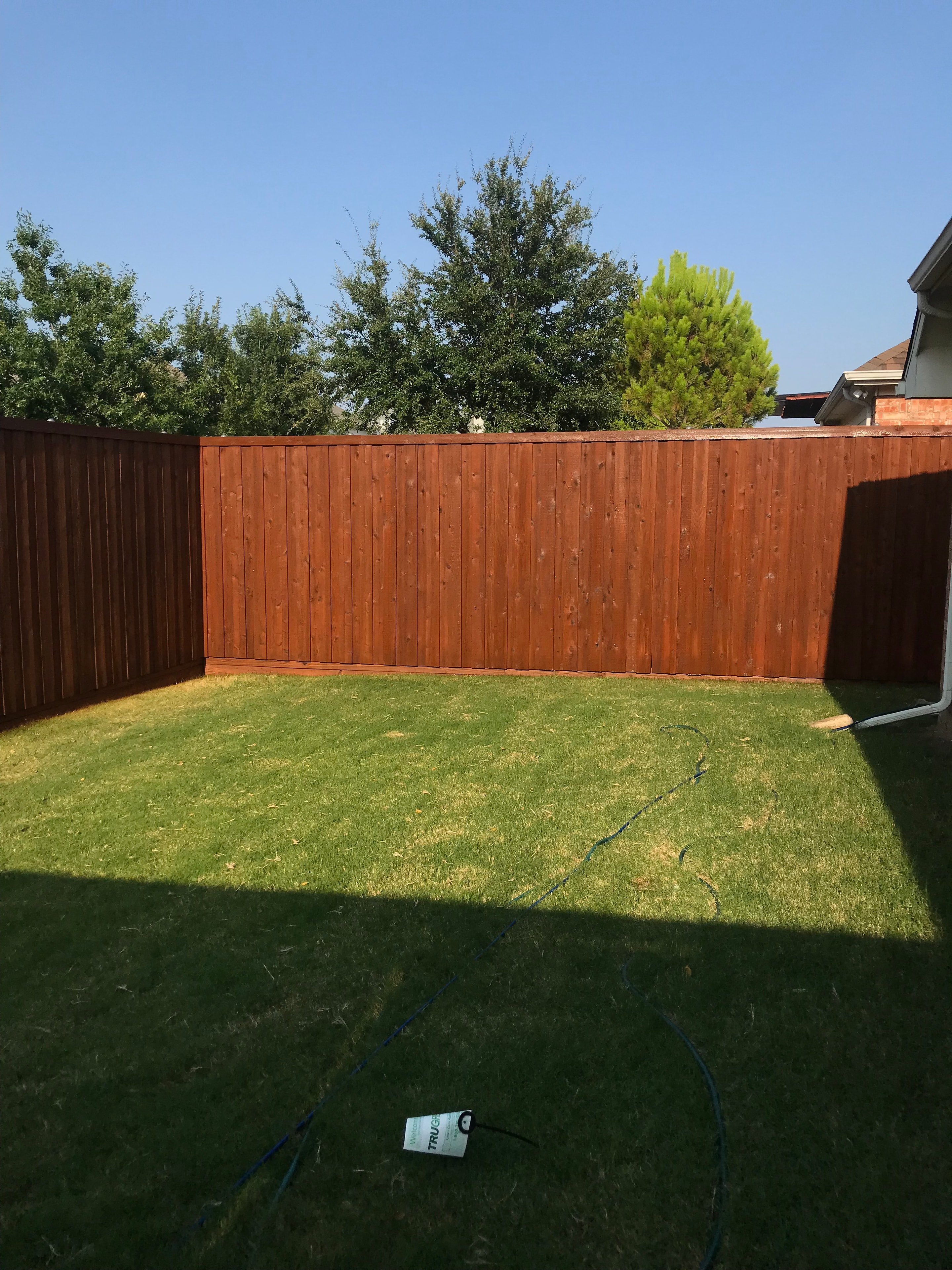 Wood surface after professional staining — beautifully restored finish